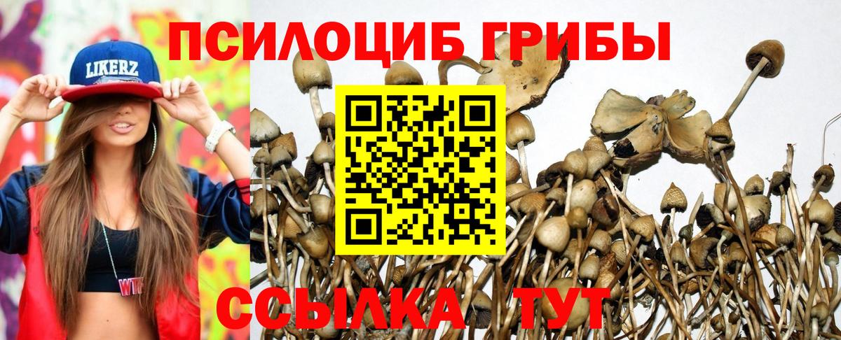 Псилоцибиновые грибы GOLDEN TEACHER Балашиха
